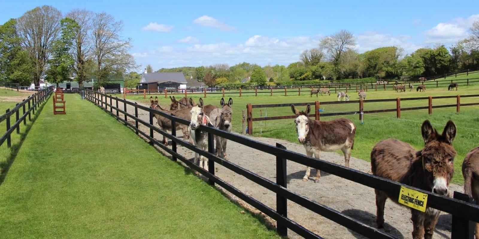 Charleville Park Hotel & Leisure Club Ireland Luaran gambar